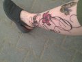 WP_20160602_006.jpg